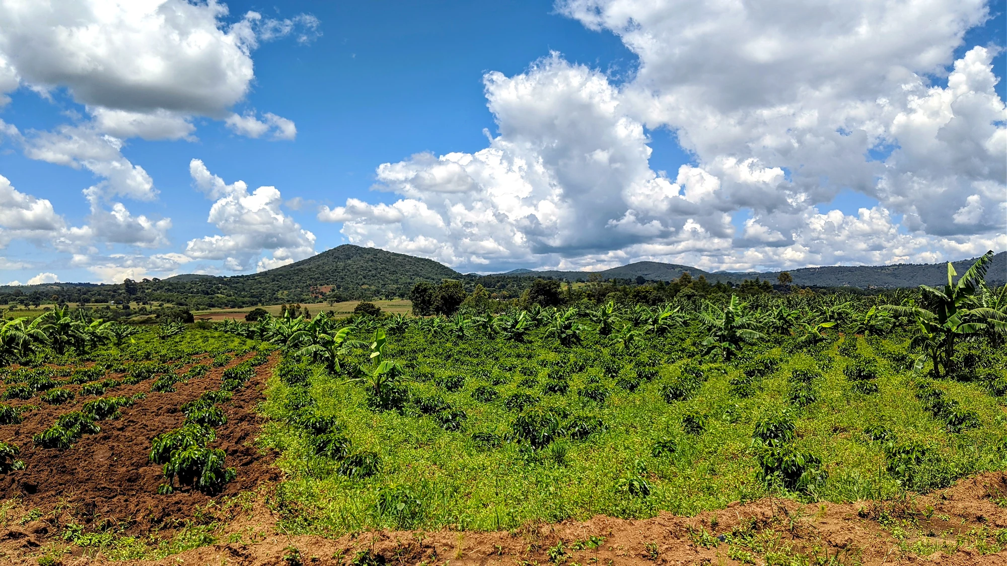 Fields and mountains in Songwe Region, Tanzania